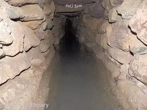 سرو زیبد